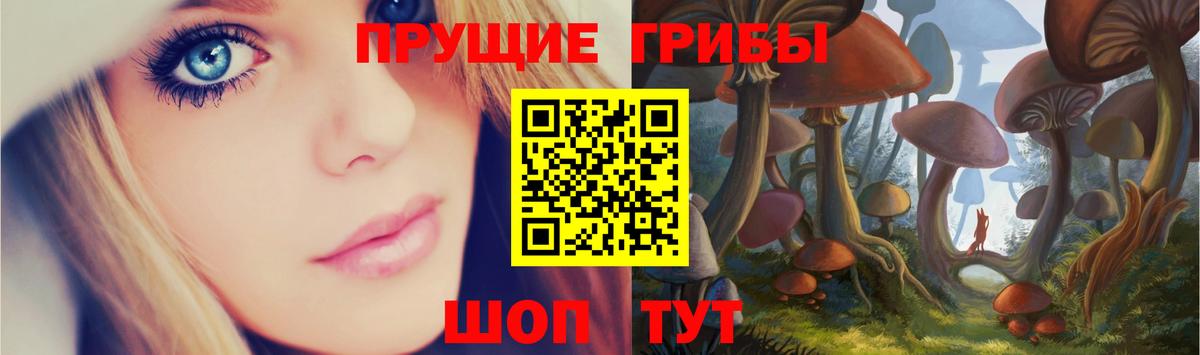 Псилоцибиновые грибы мицелий  Галлюциногенные грибы Psilocybine cubensis  Вход с VPN  Амурск 